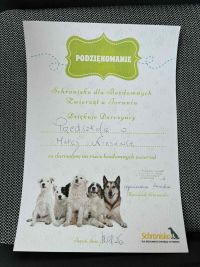 Zbiórka na schronisko