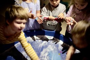 Zimowe zabawy sensoplastyczne