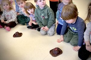 Warsztaty paleontologiczne