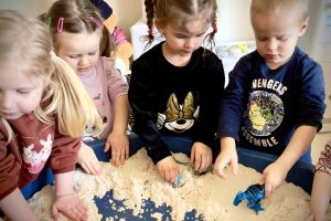 Zabawy z dinozaurami