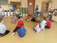 Zajęcia dogoterapii