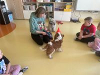 Zajęcia dogoterapii