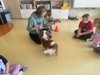 Zajęcia dogoterapii