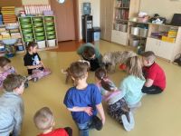 Zajęcia dogoterapii