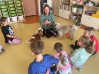 Zajęcia dogoterapii