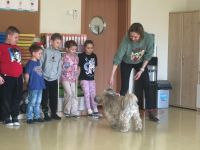 Zajęcia dogoterapii