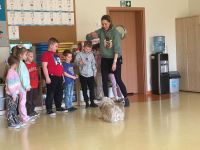 Zajęcia dogoterapii