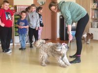 Zajęcia dogoterapii