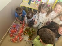 Zajączek u Wiewiórek