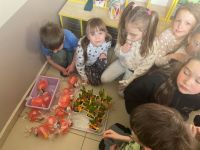 Zajączek u Wiewiórek