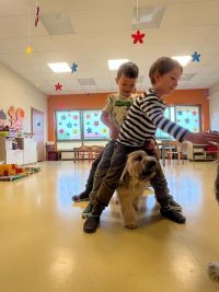 Zajęcia dogoterapii