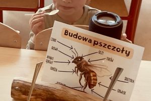 Dzień Miodu