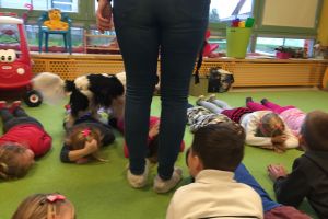 dogoterapia