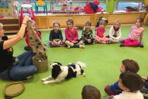 dogoterapia