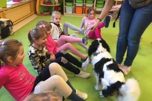 dogoterapia
