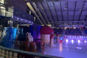 pokaz rewii na lodzie