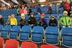 pokaz rewii na lodzie