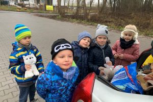 pomoc dla bezdomnych zwierząt