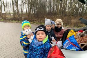 pomoc dla bezdomnych zwierząt
