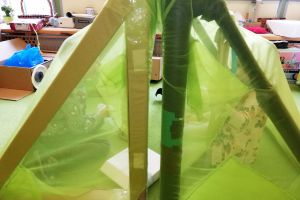 przedszkole bez zabawek