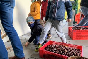 podziękowanie za udział w akcji Kasztanobranie