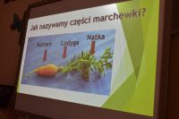 Dzień Marchewki