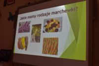 Dzień Marchewki