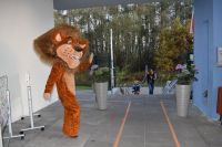 Dzień Postaci z Bajek