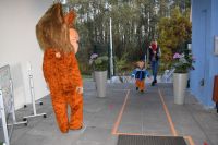 Dzień Postaci z Bajek