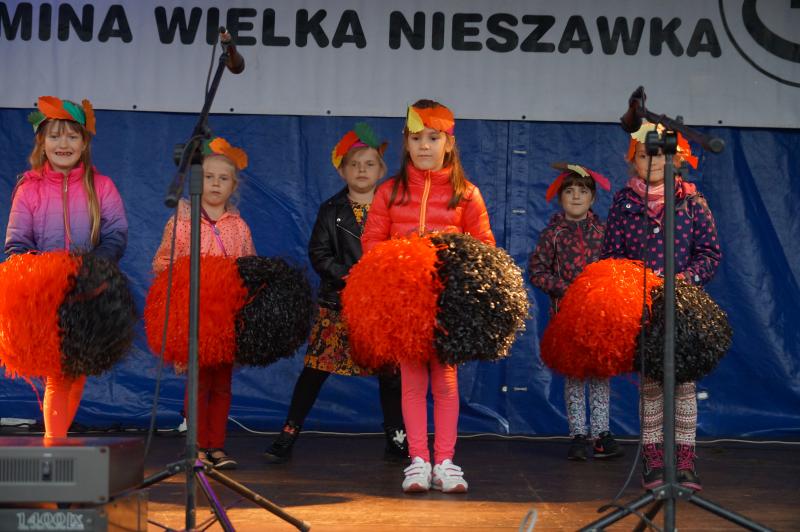 Występ Delfinków podczas festynu