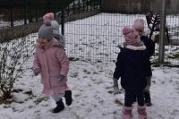 Zabawy zimowe na śniegu