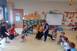 Dogoterapia