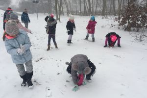 IMG_3251.JPG