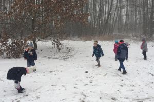 IMG_3260.JPG