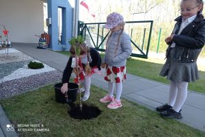 drzewko patriotyczne