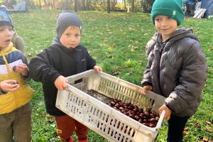 Dzień Pieczonego Ziemniaka