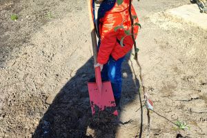 Światowy Dzień Ziemi