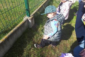 DZIEŃ ZIEMII