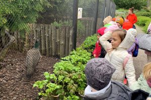 Ogród Zoobotaniczny