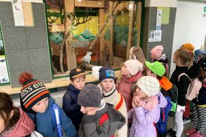 Ogród Zoobotaniczny