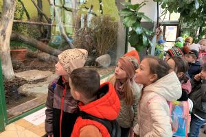 Ogród Zoobotaniczny