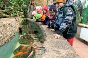 Ogród Zoobotaniczny