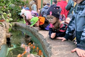 Ogród Zoobotaniczny