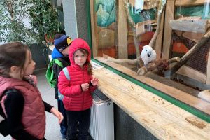Ogród Zoobotaniczny