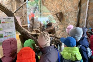 Ogród Zoobotaniczny