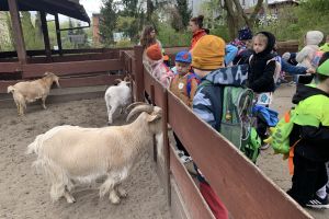 Ogród Zoobotaniczny