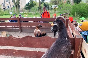 Ogród Zoobotaniczny