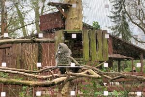 Ogród Zoobotaniczny