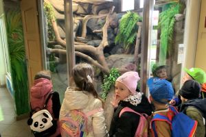 Ogród Zoobotaniczny