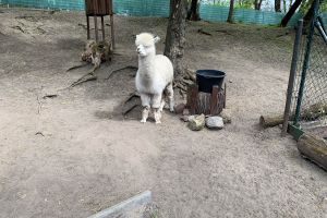 Ogród Zoobotaniczny